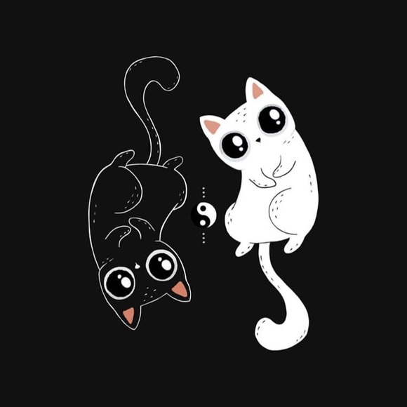 Meet your Posher, Sara - Picture 1 of 1